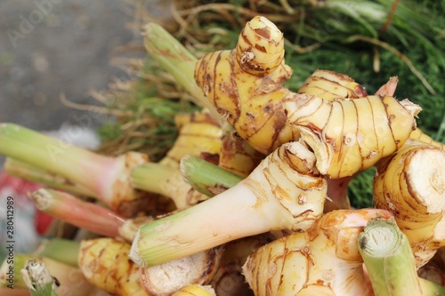Fresh galangal for cooking in the market