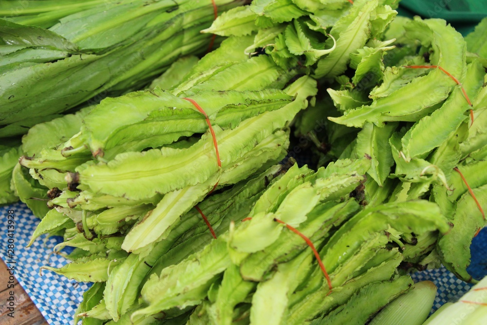 Winged bean for cooking at street food Winged bean for cooking at street food