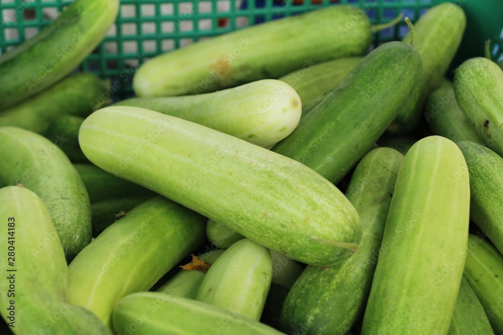 Fresh cucumbers for cooking in the market Fresh cucumbers for cooking in the market