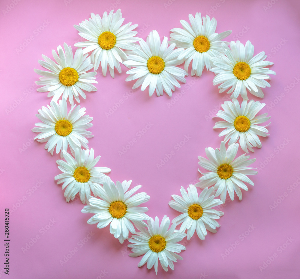 Large daisies laid out in the shape of a heart on a pink background. Frame for text