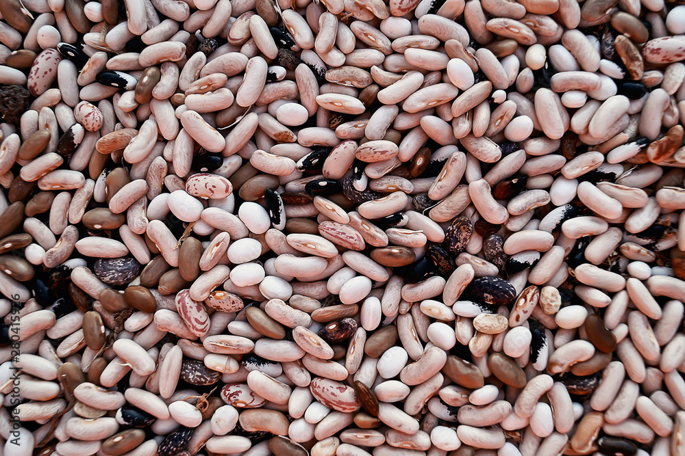 Colorful bean texture background. Colorful bean texture background.