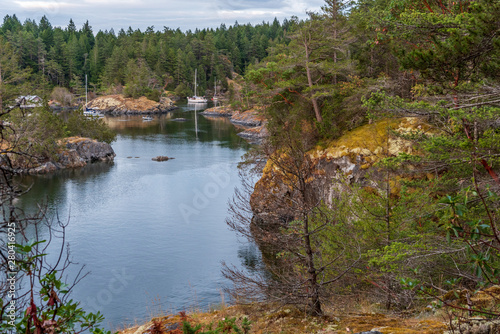 Fototapeta Naklejka Na Ścianę i Meble -  Fragment of Mountain Lake with Blue Water in British Columbia, Canada.