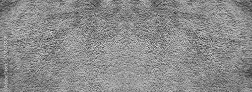 Texture of gray carpet background. photo