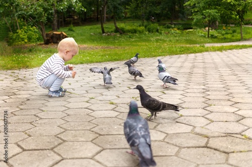 Child sits in a green park in summer, holds bird food in his hands and examines bread crumbs that have fallen to the ground