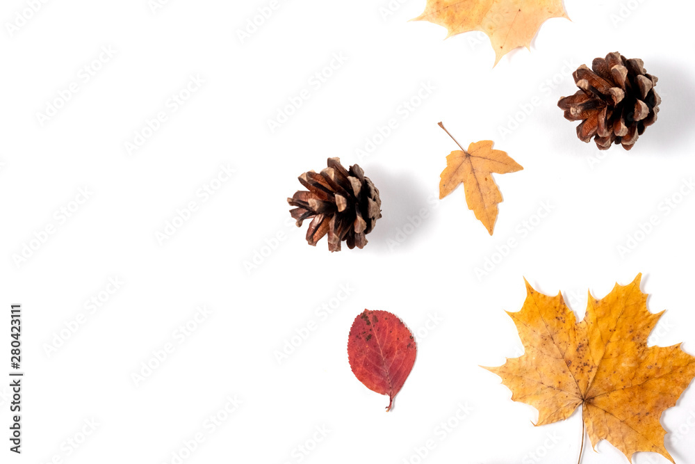 Autumn composition. Dried leaves, cones on white background. Autumn, fall, thanksgiving day concept. Creative Flat lay, top view, copy space Autumn composition. Dried leaves, cones on white background. Autumn, fall, thanksgiving day concept. Creative Flat lay, top view, copy space