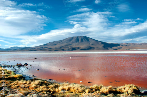 bolivian lagunas in potosi