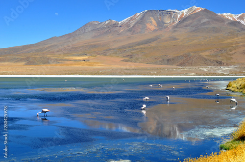 travel bolivia andes region and la paz to potosi lagunas and isla de soll on titicaca lake photo