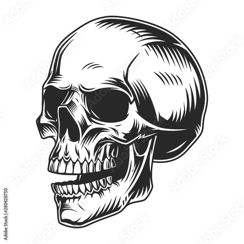 Vintage monochrome human skull