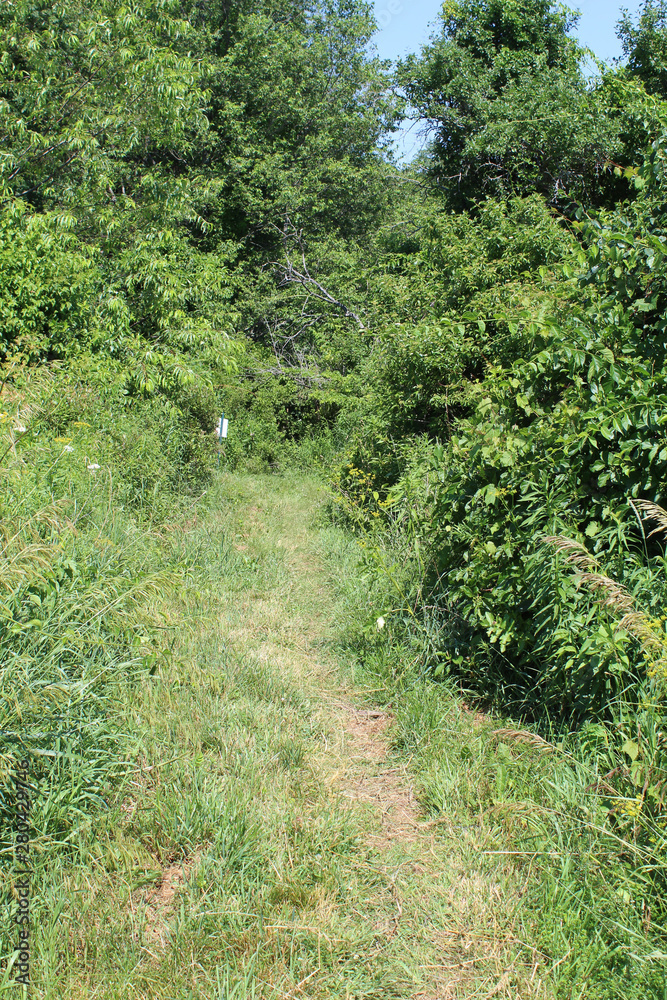 Grassy Appalachian Trail at Sheffield, Massachusetts Grassy Appalachian Trail at Sheffield, Massachusetts