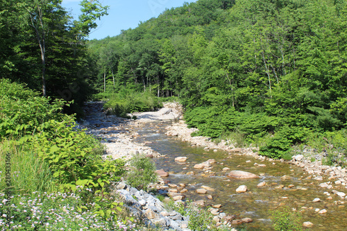 Deerfield River near Searsburg, Vermont at the Green Mountain National Forest photo