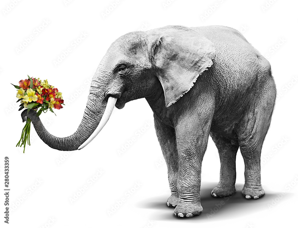 Obraz premium Black and white elephant handing a colorful bouquet of blooming flowers. Concept for greeting card, poster, cover, and more.