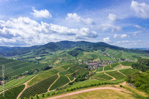 View from Staufenberg Castle to the Black Forest with grapevines near the village of Durbach in the Ortenau region_Baden, Baden Wuerttemberg, Germany