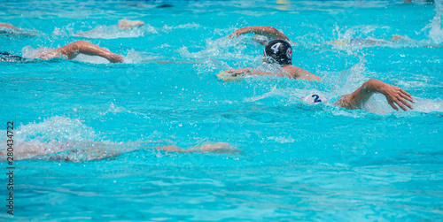 Athletes swimming freestyle on a swimming pool