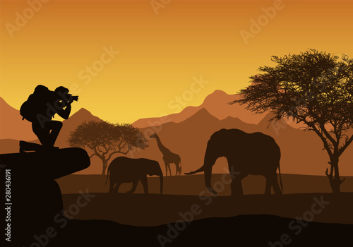 Realistic illustration of African safari with mountain landscape, trees and elephant and giraffe. Tourist with backpack takes photographing of animals. Under the orange sky with rising sun, vector