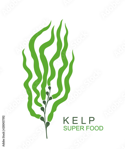 Underwater seaweed kelp logo. Isolated underwater seaweed kelp on white background