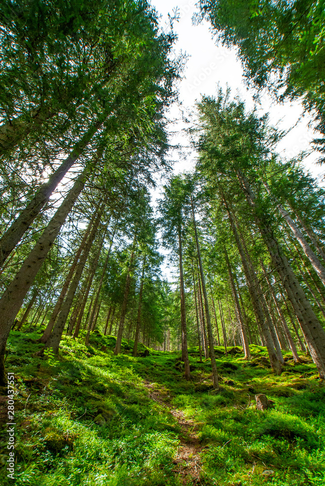 San Giovanni in Valle Aurina, Sankt Johann in Ahrntal, South Tirol, Alto Adige, Italy, Europe, Country of Birth of Josef Georg and Johann Baptist Oberkofler