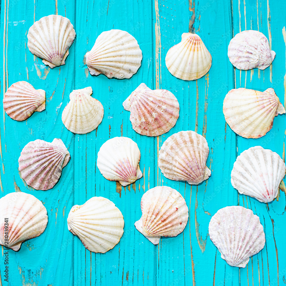 Seashells on a blue wooden background.