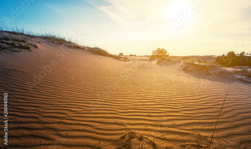 beautiful hot summer sandy desert scene at the sunset
