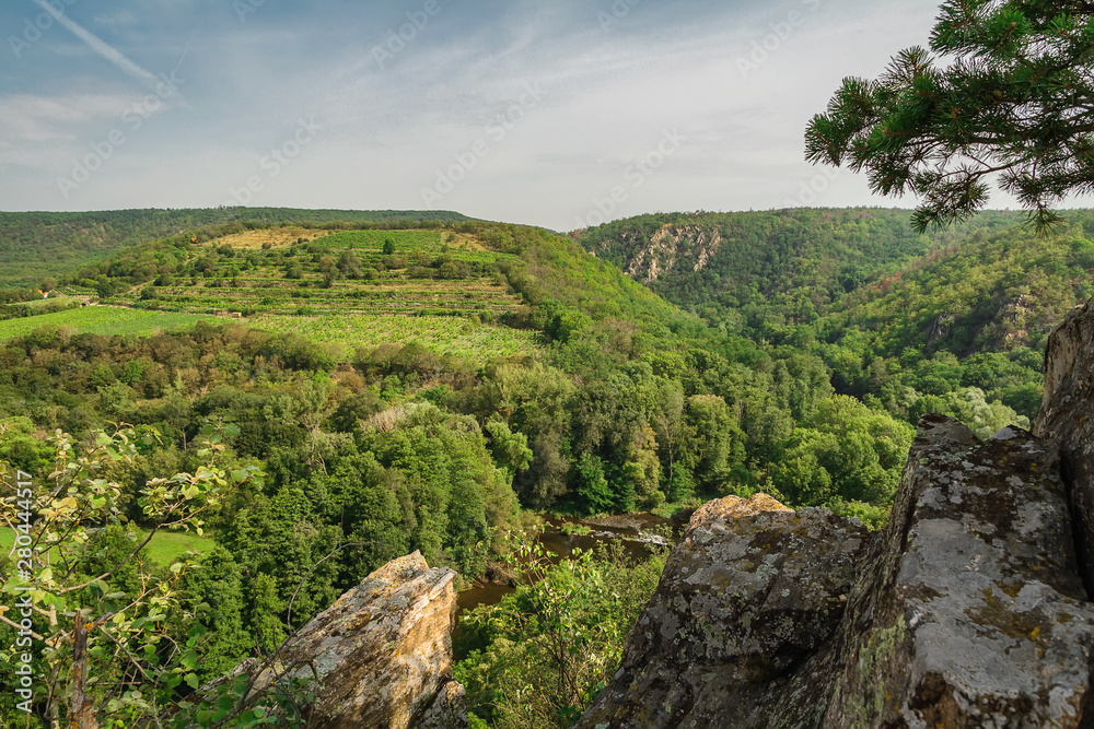 Nice view to valley with river Dyje, rock and tree, national park Podyji, Czech republic