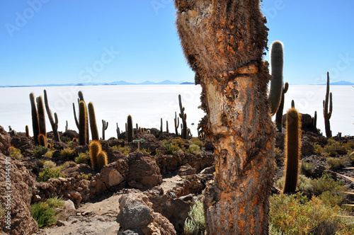salar de uyuni in potosi to geysers sol de mariana in bolivia