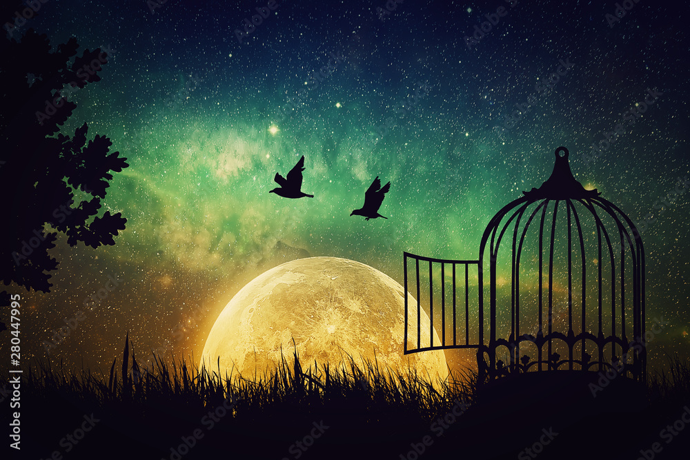 Birds couple escaping from the cage. Freedom concept. Released to