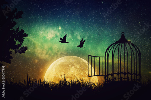 Birds couple escaping from the cage. Freedom concept. Released to nature. Beautiful and positivel screen saver with a starry sky and a full moon