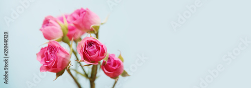 Wallpaper Mural Pink Rose bouquet. Vintage retro style. Torontodigital.ca