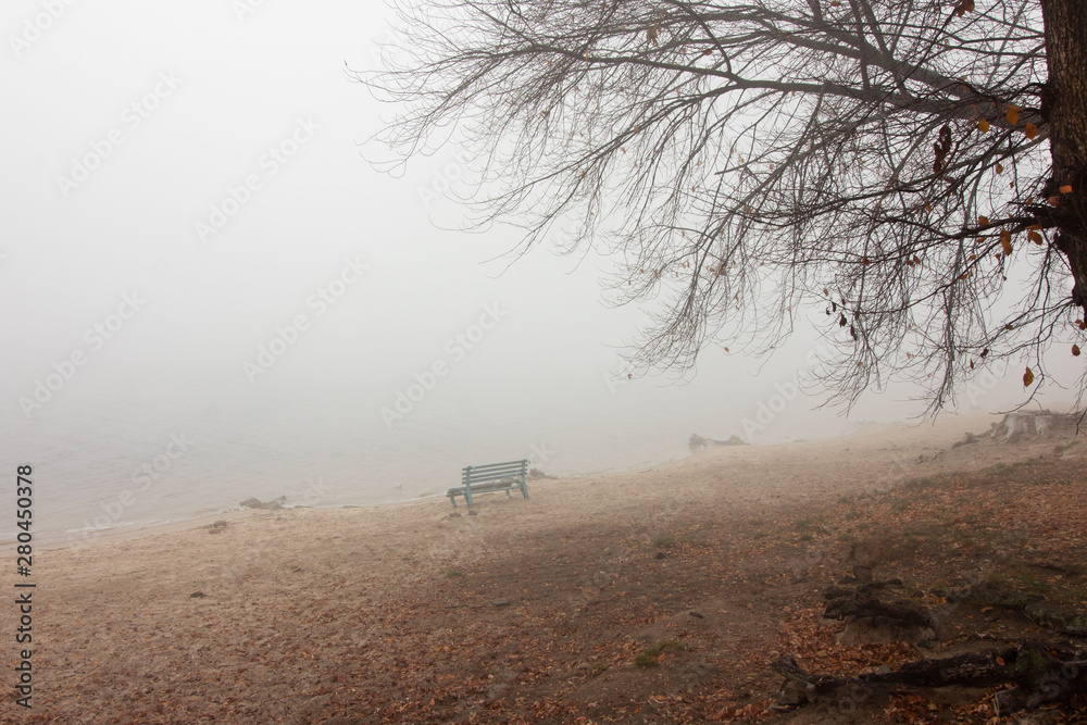 Lonely standing bench on the beach on the sand among the fallen leaves in the fog