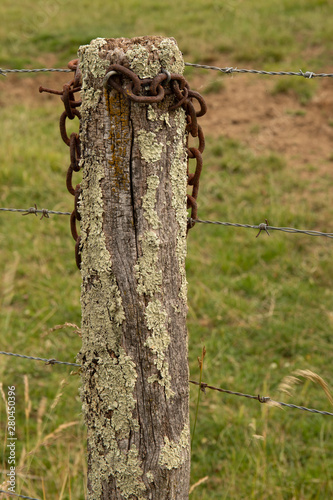 Chain on a post in a field