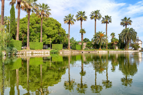 tropical park landscape with green forest palm tree small orthodox church reflection in river water against blue sky and cloud background wide view of city recreation zone in summer
