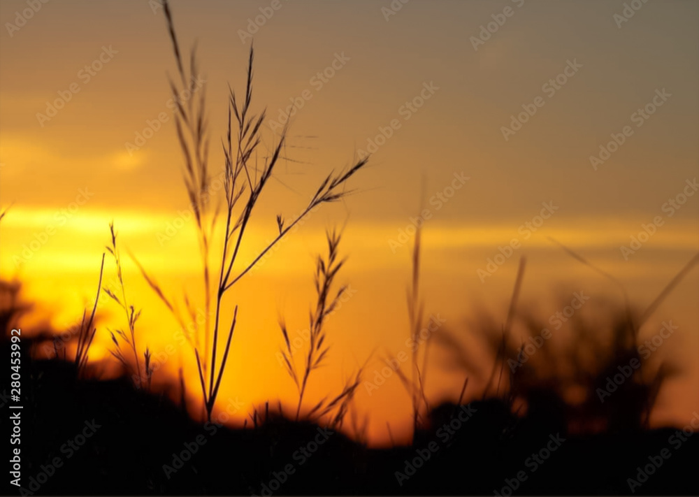 Sunset on the African Savannah Sunset on the African Savannah