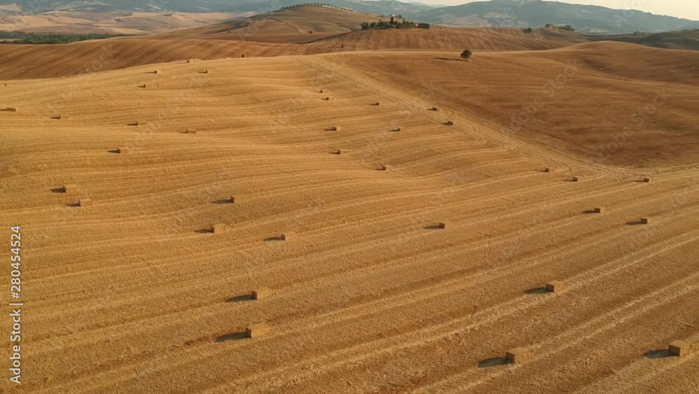 Veduta aerea di un campo di grano d'estate in Val d'Orcia, Toscana