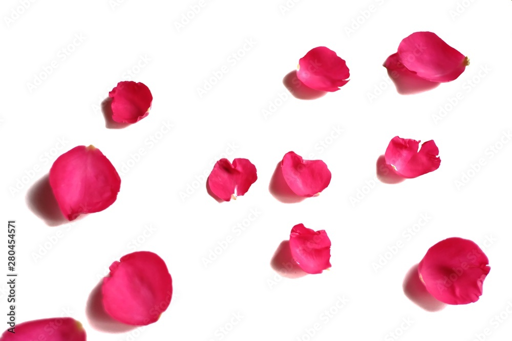 Blurred a pile of sweet red rose corollas on white isolated background Blurred a pile of sweet red rose corollas on white isolated background