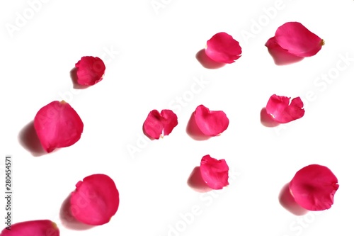 Blurred a pile of sweet red rose corollas on white isolated background