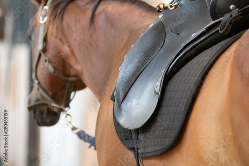 Close up of English saddle on brown horse