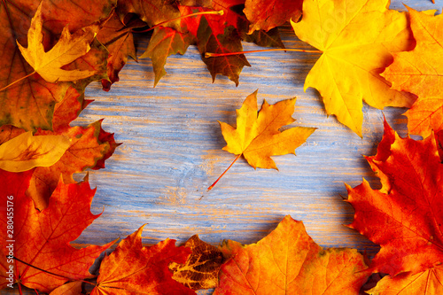 autumn leaf background with plaсe words and inscriptions, copy space (top view)