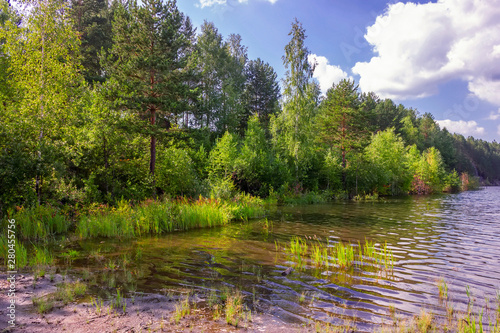 Summer landscape on the shore of a forest lake with clear transparent blue water.
