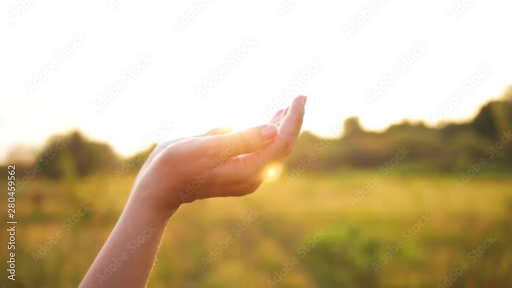 Closeup view of 2 female hands isolated on sunny sunset golden sky and meadow background. Woman enjoying soft evening sun light outside. Sunrays sparkling between among fingers of person. Closeup view of 2 female hands isolated on sunny sunset golden sky and meadow background. Woman enjoying soft evening sun light outside. Sunrays sparkling between among fingers of person.