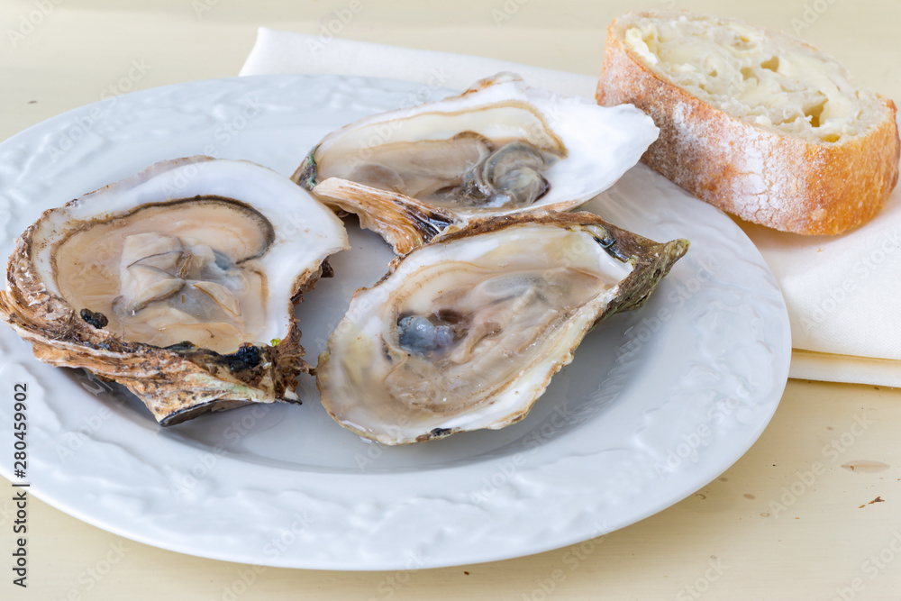 Opened raw oysters on a plate.