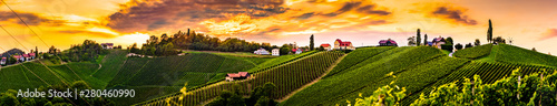 Panorama of vineyards hills in south Styria, Austria