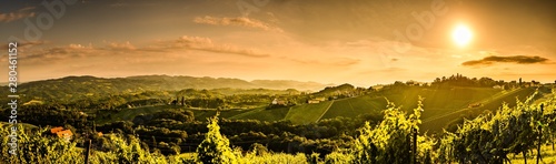 Fototapeta Naklejka Na Ścianę i Meble -  Panorama of vineyards hills in south Styria, Austria