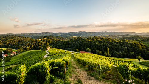Famous heart shaped street at vineyards in Slovenia close to the border with Austria south styria.