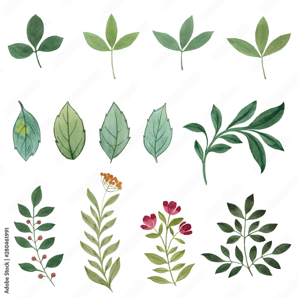 Set watercolor elements - herbs, leaf. Can be used for print (home decor, posters, cards) and web (banners, blogs, advertisement) Set watercolor elements - herbs, leaf. Can be used for print (home decor, posters, cards) and web (banners, blogs, advertisement)