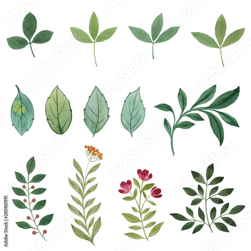 Set watercolor elements - herbs, leaf. Can be used for print (home decor, posters, cards) and web (banners, blogs, advertisement)