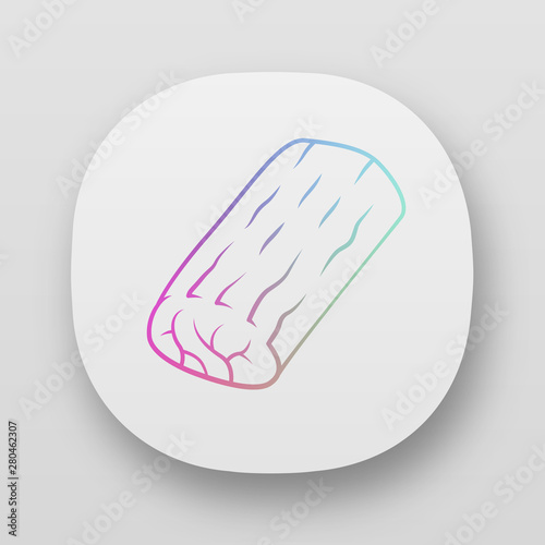 Roast app icon. Butchers meat. Ingredient for lunch. Meat production and sale. Protein source. Butchery business. UI/UX user interface. Web or mobile applications. Vector isolated illustrations