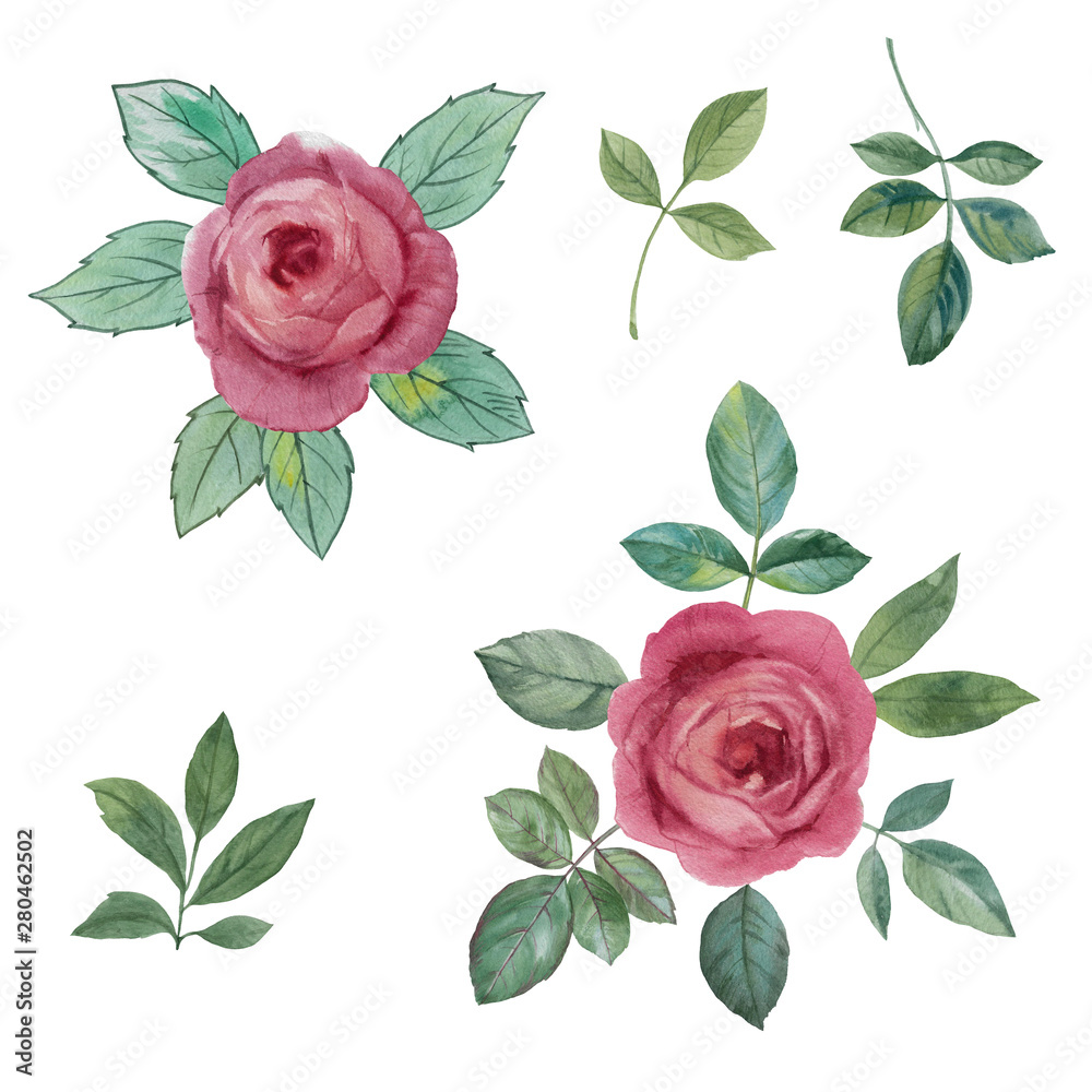 Watercolor painting set of flowers and leaves isolated on white background. Can be used for print (home decor, posters, cards) and web (banners, blogs, advertisement).