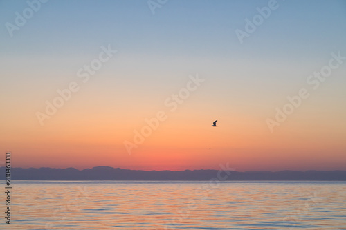 Pink sunset on the sea  © Vera