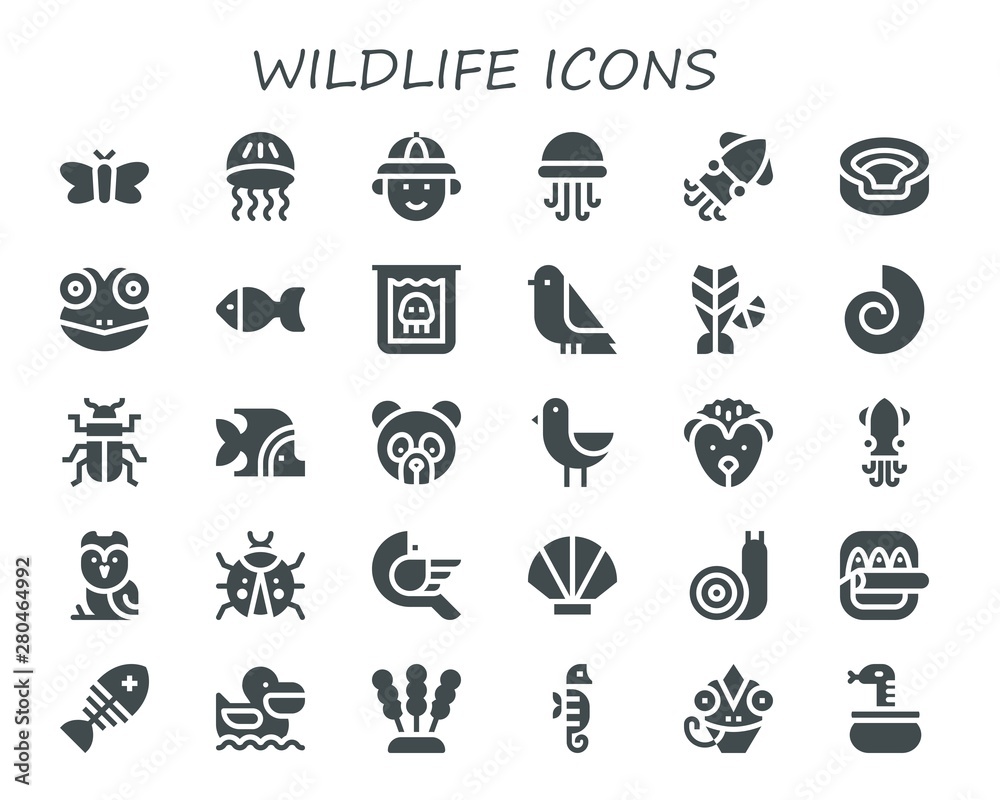 wildlife icon set