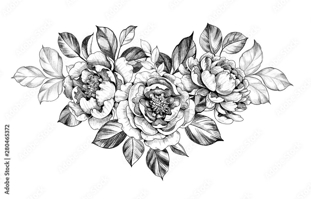 Hand drawn Peony Flower with Leaves