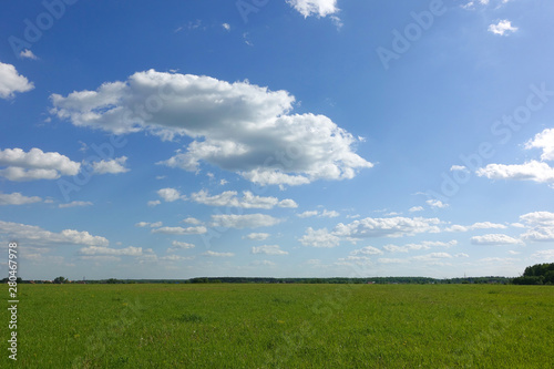 Beautiful landscape. Green grass field and blue sky with white clouds.